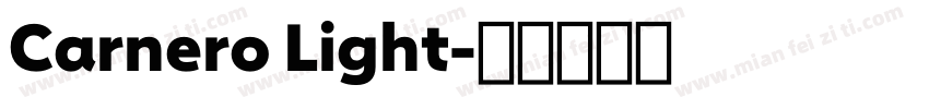 Carnero Light字体转换
